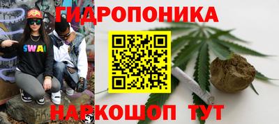 ALPHA-PVP Партизанск