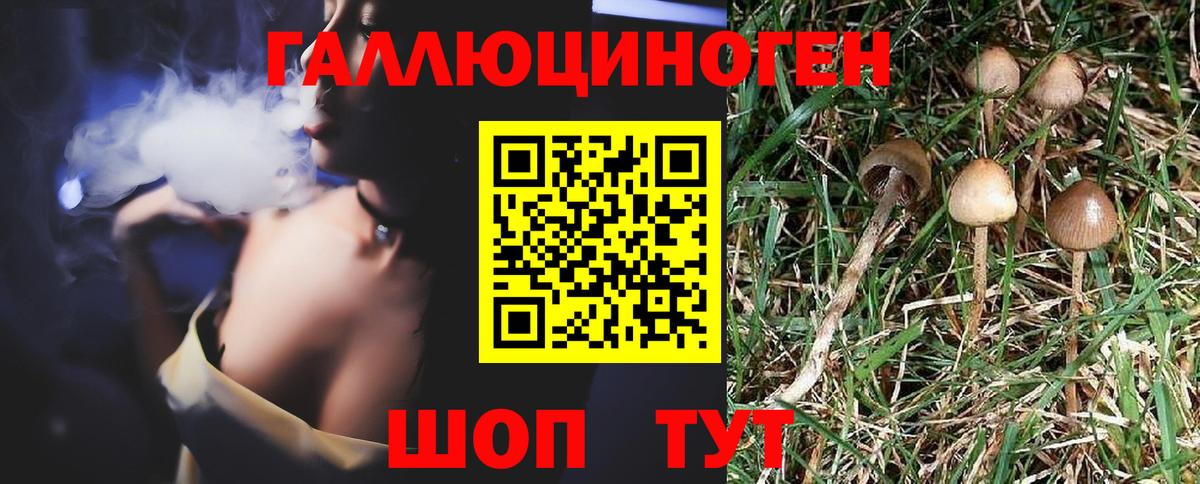 Серов  Галлюциногенные грибы MAGIC MUSHROOMS  Вход с VPN 