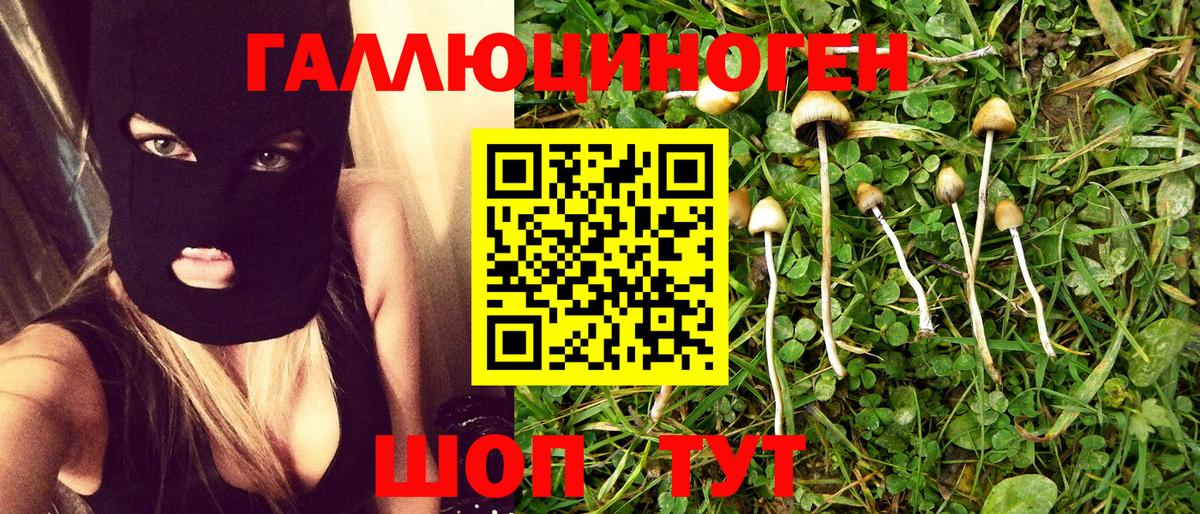 Галлюциногенные грибы мухоморы Серов